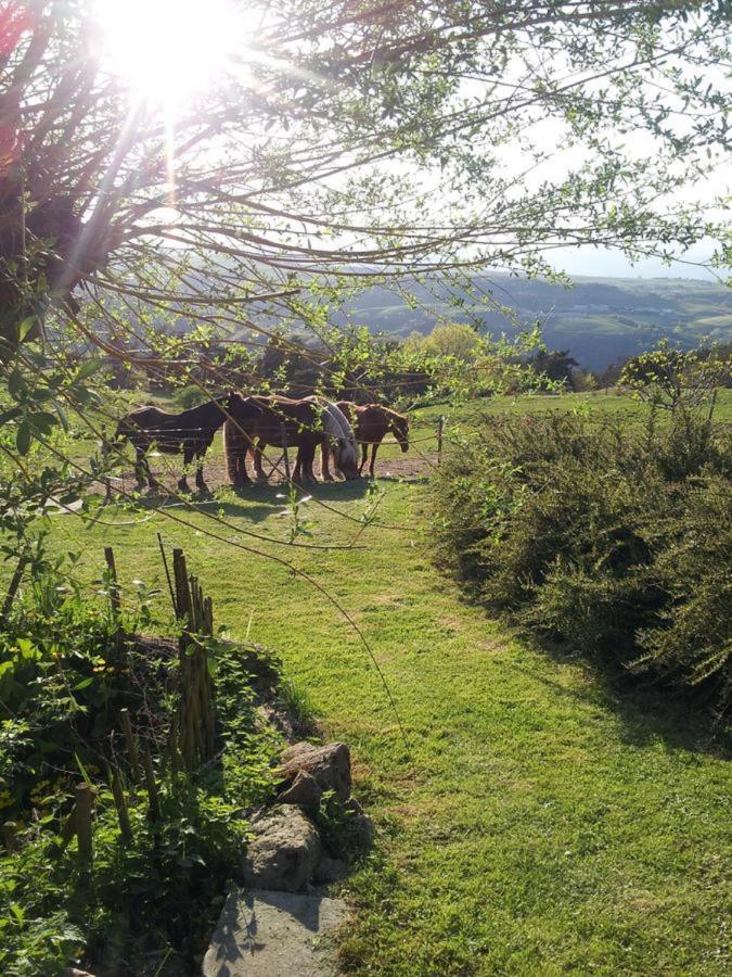 Ferme De La Bonnefontaine Hotel Plats Eksteriør billede